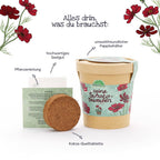 Anzuchtset Schokoblumen