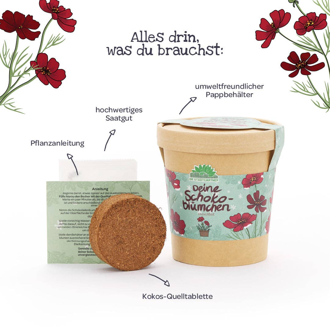 Anzuchtset Schokoblumen