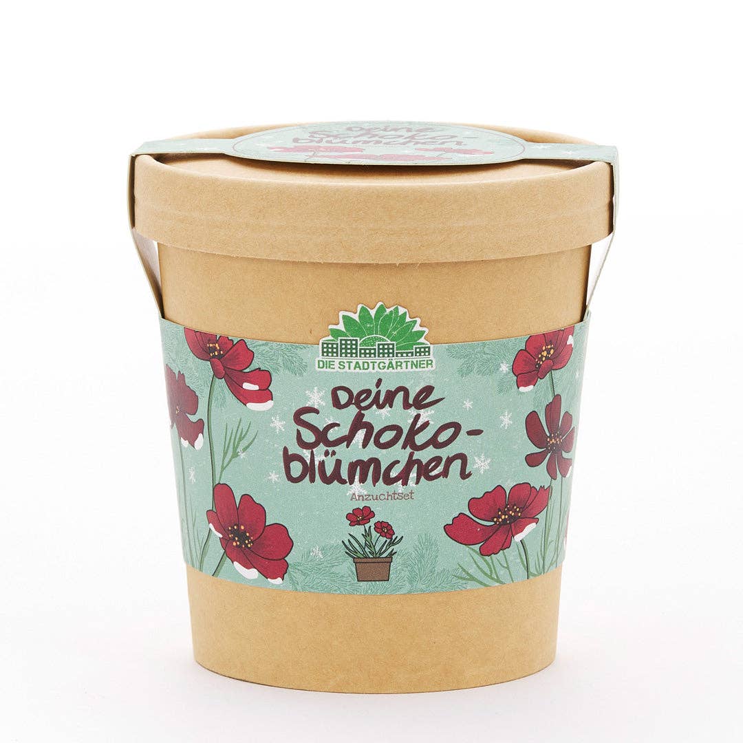 Anzuchtset Schokoblumen