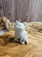Katze