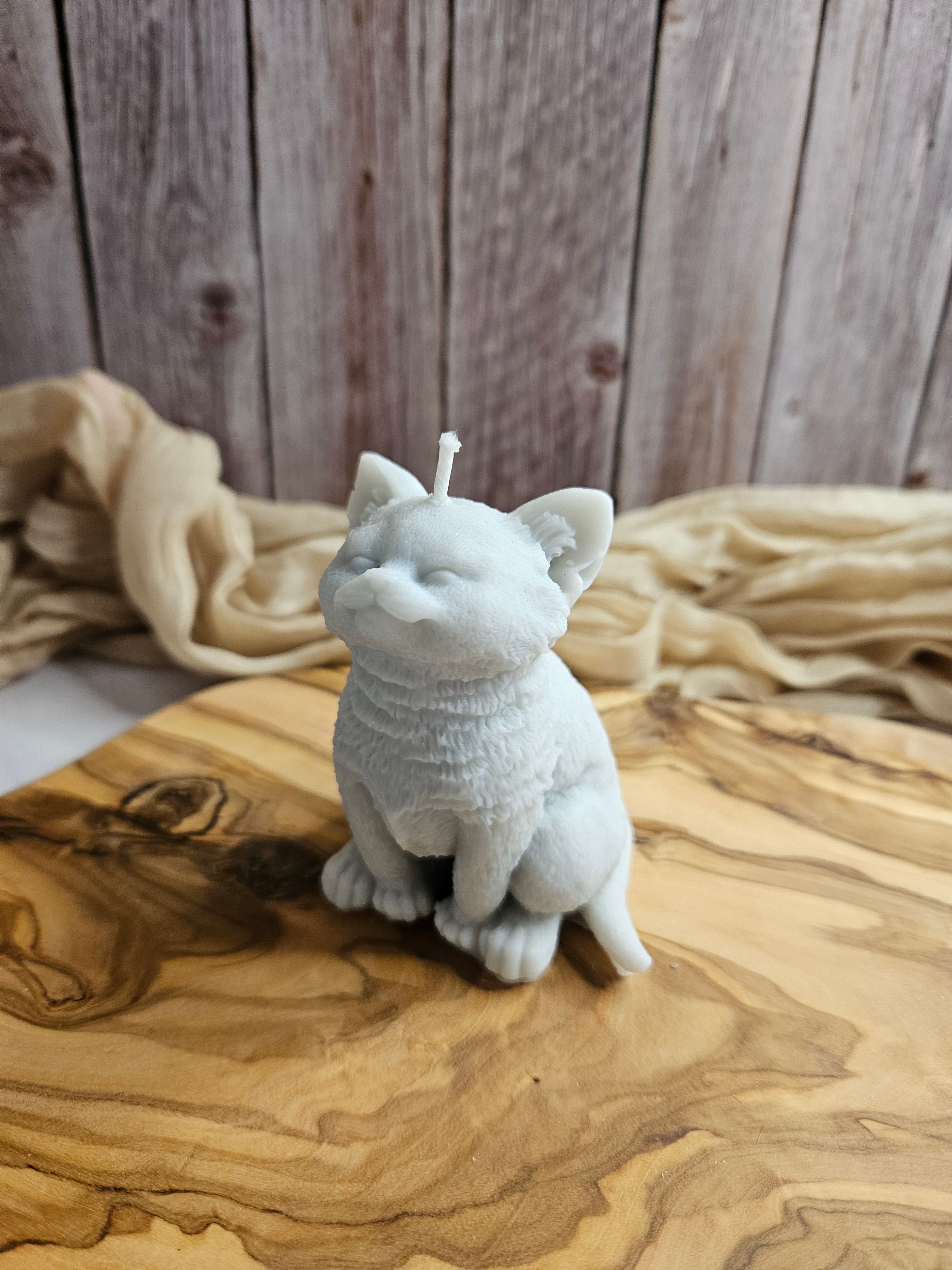 Katze