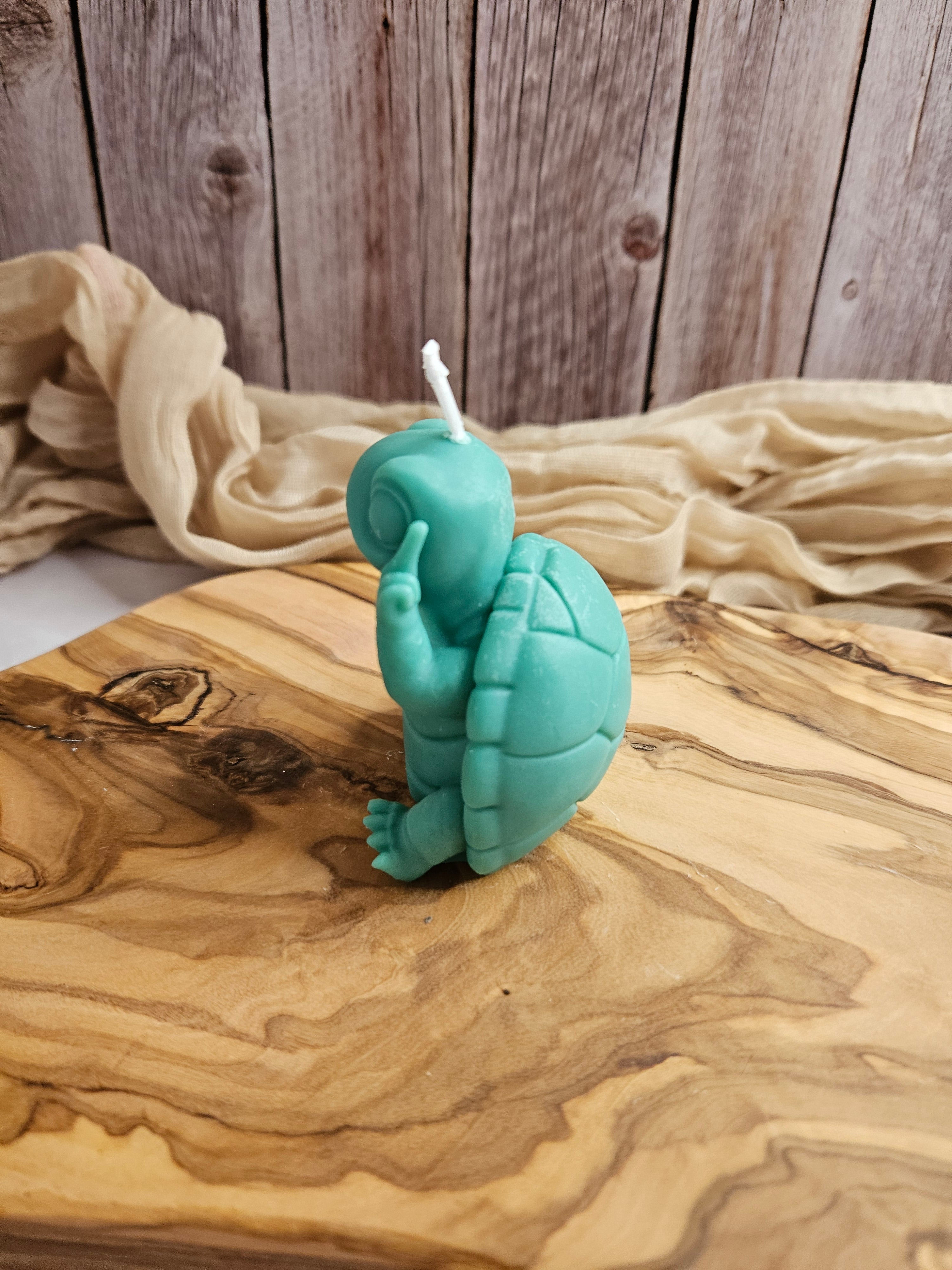 Schildkröte