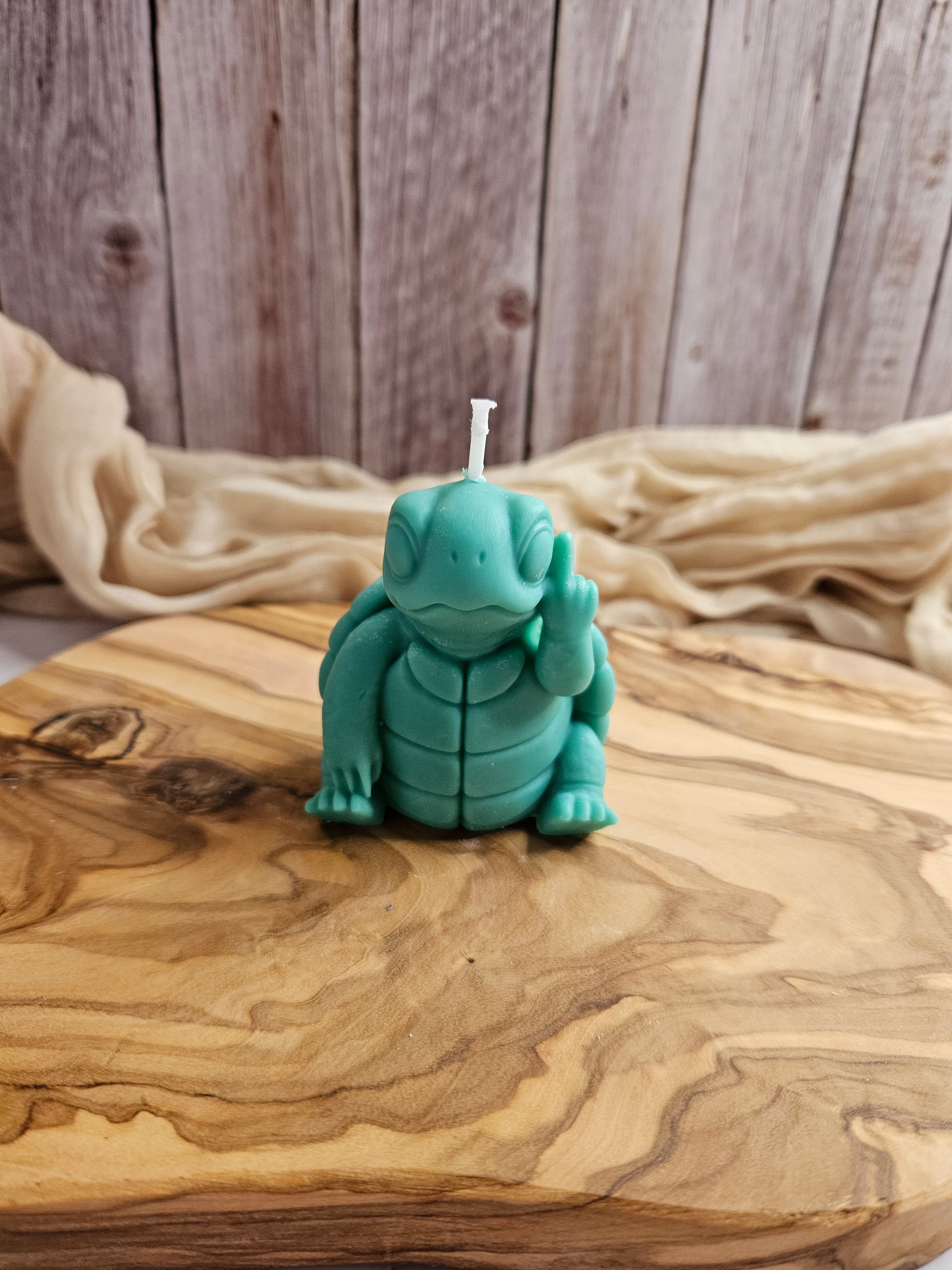Schildkröte